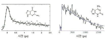 <그림4> 구아닌(왼쪽)과 구아닌 이성질체(오른쪽)의 들뜬 상태 이완 과정 그래프.  출처: Phys. Chem. 2015,2019 