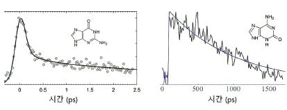  구아닌(왼쪽)과 구아닌 이성질체(오른쪽)의 들뜬 상태 이완 과정 그래프.  출처: Phys. Chem. 2015,2019 