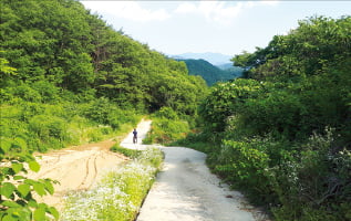 [한경 매물마당] 삼성 직원 숙소용 오피스텔 매각 등 6건