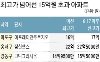 15억 초과 아파트 대출 안돼도…마포·잠실·고덕 잇따라 최고가