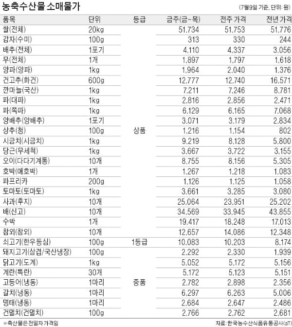 시금치값 1주새 12%↑…무더위로 생산량 감소 탓