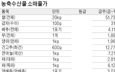 시금치값 1주새 12%↑…무더위로 생산량 감소 탓