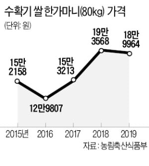 쌀 재고 넘쳐나는데…정부, 초과생산분 사준다