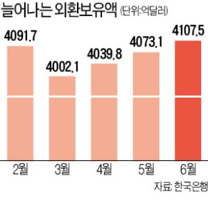 3200억弗 vs 5660억弗…'적정 외환보유액' 논쟁 재점화