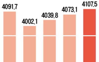 3200억弗 vs 5660억弗…'적정 외환보유액' 논쟁 재점화