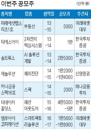 IPO 슈퍼위크…티에스아이 등 7社 일반청약