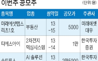 IPO 슈퍼위크…티에스아이 등 7社 일반청약