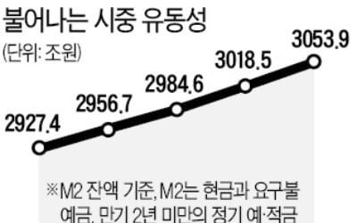 집값 불쏘시개 됐나…유동성 증가폭 사상 최대