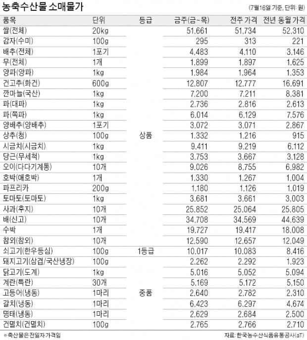 배추·상추 가격 9% 상승…무더위 탓에 생산량 급감