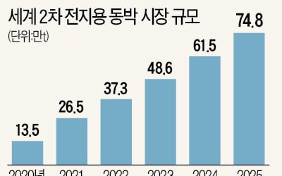 "동박, 없어서 못 판다"…SK, 中 왓슨에 추가 투자