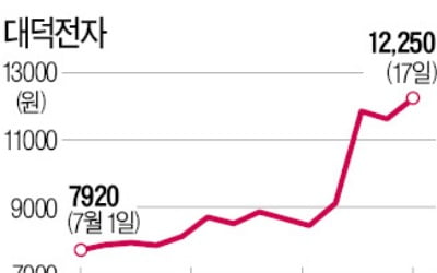 대덕전자 3일간 30% 넘게 급등…"비메모리 반도체 설비에 900억 투자"