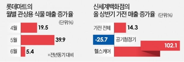 '코로나 집콕족'이 바꾸는 소비 트렌드…"대형TV로 홈극장 즐기고, 반려식물로 힐링"