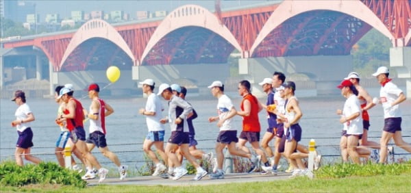 한 가지 음식만 먹는 '원푸드 다이어트'…뼈가 엉성해져 무릎관절·척추 손상 위험