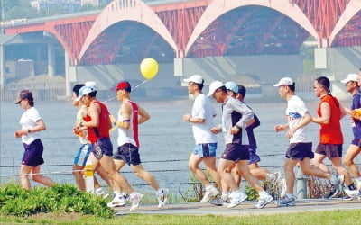 한 가지 음식만 먹는 '원푸드 다이어트'…뼈가 엉성해져 무릎관절·척추 손상 위험