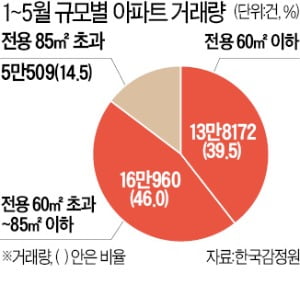 대출 묶이고 보유세 부담 늘자 아파트 거래 85.5%가 중소형