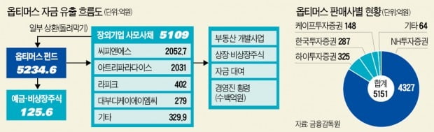 "환매 중단 옵티머스 처음부터 사기였다" 