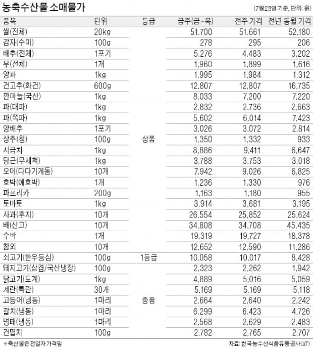 토마토 값 연일 오름세…장마로 출하량 급감탓