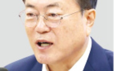 "대사관 덕택 백혈병 딸 귀국"…문 대통령 "동포 안전 지키기에 최선"