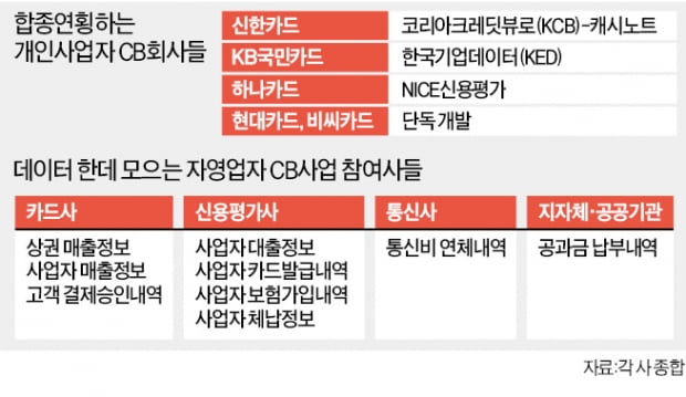 새로운 수익원 찾아나선 카드사들…자영업자 신용평가사업 속속 진출