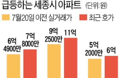 '행정수도'가 불지른 세종 집값…5억 이하 매물은 싹 사라졌다