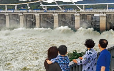  전국 곳곳 비 피해…수문 연 팔당댐