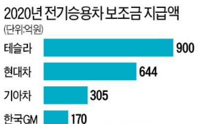 상반기 전기차 보조금…테슬라·중국 버스가 '싹쓸이'