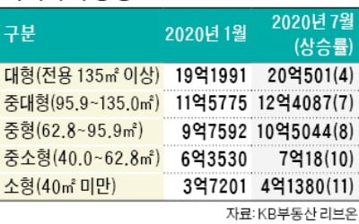 "서울 소형 아파트도 사기 힘드네"…전용 40㎡ 미만 평균 4억원 돌파