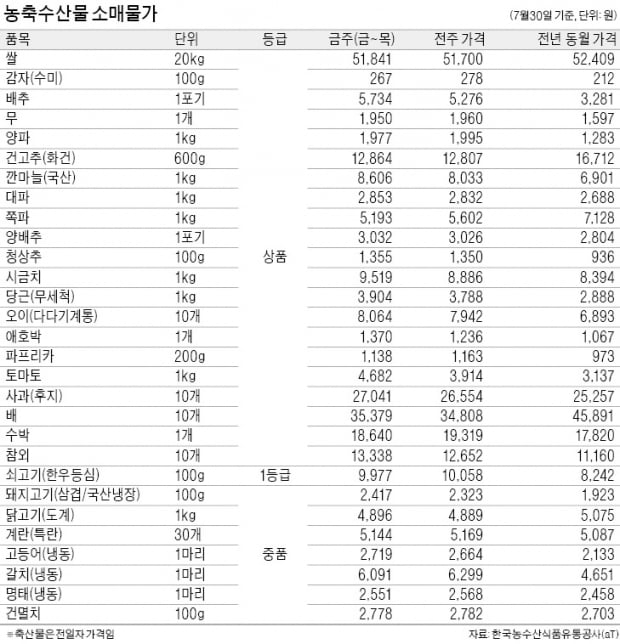 사과, 장마로 출하량 급감…도매가 1주일새 7% 상승