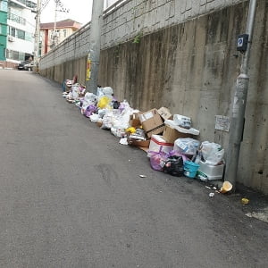 (수정 중)버리는 사람 따로, 치우는 사람 따로…더러운 대학가 원룸촌 속 '집하장 지킴이'