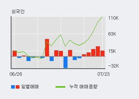 '디자인' 52주 신고가 경신, 전일 외국인 대량 순매수