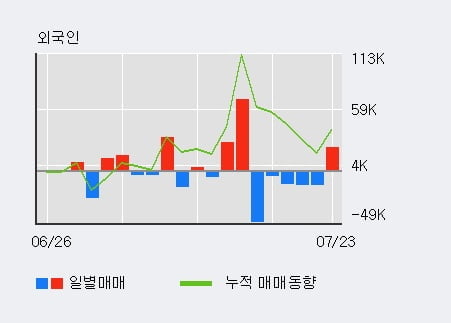 '대유' 52주 신고가 경신, 전일 외국인 대량 순매수