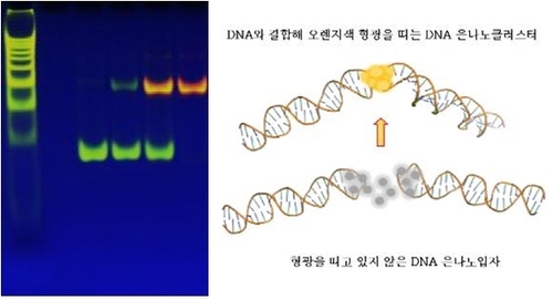 원자력 기술로 난치성 질환 진단 바이오소재 작동 원리 규명