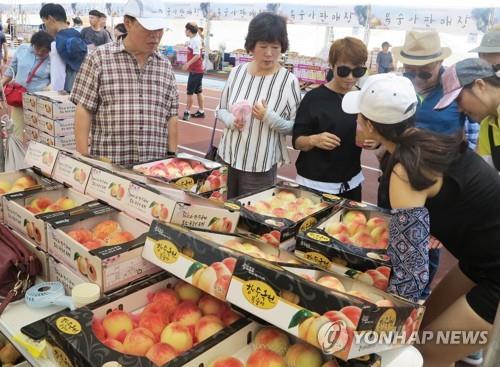 "축제 열면 800만원 손에 쥐는데"…코로나19에 두 번 우는 농심