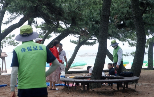 "송림에서 고기 굽고,아무 데나 야영하고" 동해안 불법행위 성행