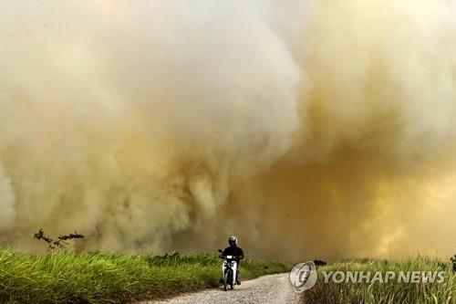 인도네시아 산불 또 시작…보르네오섬 중부 비상사태 선포