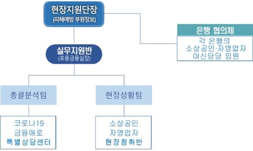 금감원, 소상공인 돕는 '현장지원단' 설치…코로나 장기화 대비