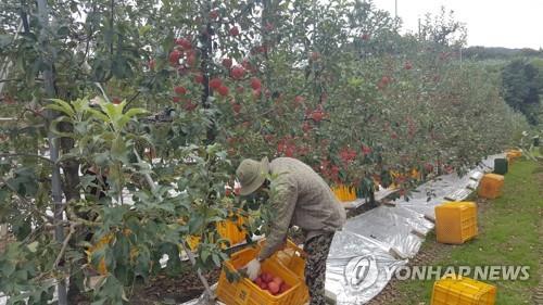 [외국인 노동자 실종] ③ "해답은 직업차별 인식 개선·숙련 외국인 육성"