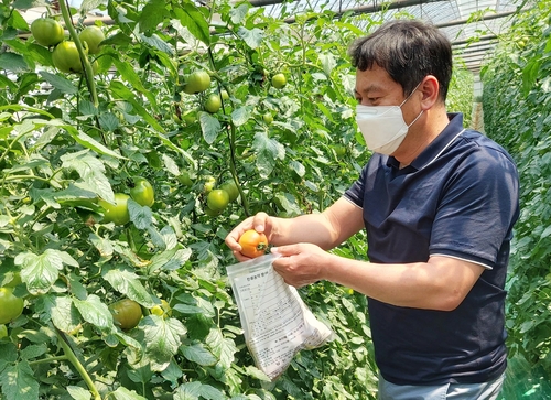 학교급식 농산물 순회수집·고정가 매입…당진시 공급체계 구축