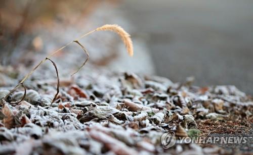 "서리 피해 걱정 없어요" 영월군 사과 재배지 17ha에 예방시설