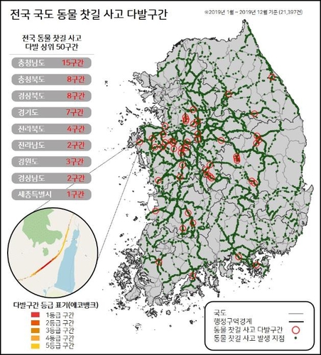 '로드킬 방지한다' 환경부-국토교통부, 찻길 사고 저감대책 수립