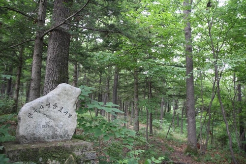 '민둥산 울산이 울창해진 40년전 한독산림사업을 아시나요'