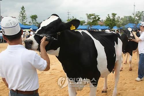 UAE, 우루과이서 젖소 4천500두 수입…식량안보 강화