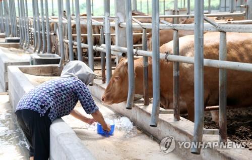 충북 가축 재해보험 가입↑…지난달 기준 1천767농가