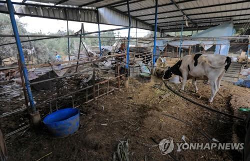 이스라엘, 팔레스타인 가자지구 공습…"로켓포에 대응"