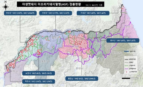 여름철 아프리카돼지열병 검사 확대…현장인력 744명 추가투입