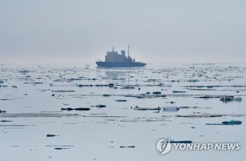 북극해 식물성 플랑크톤 급증으로 '레짐 시프트' 진행 중