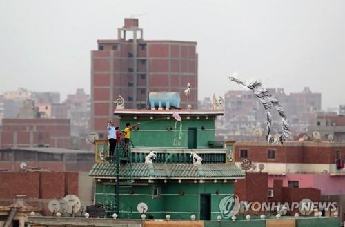 '코로나 시대' 연날리기 금지하는 이집트…"어린이 생명 위협"