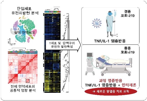 [사이테크 플러스] 코로나19 중증 환자 '사이토카인 폭풍' 원인 찾았다