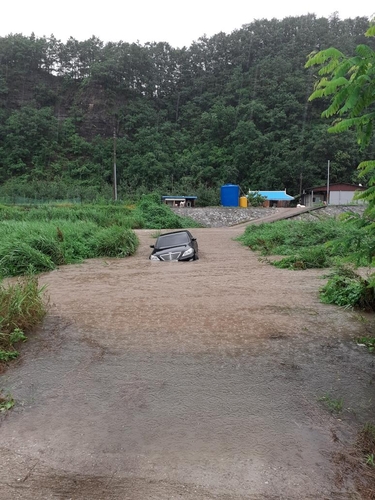 가로수 쓰러지고 차 잠기고…경북 호우피해 잇따라(종합)