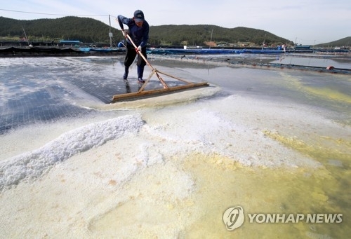 세계사를 뒤바꾼 설탕·소금·후추·밀·커피·초콜릿